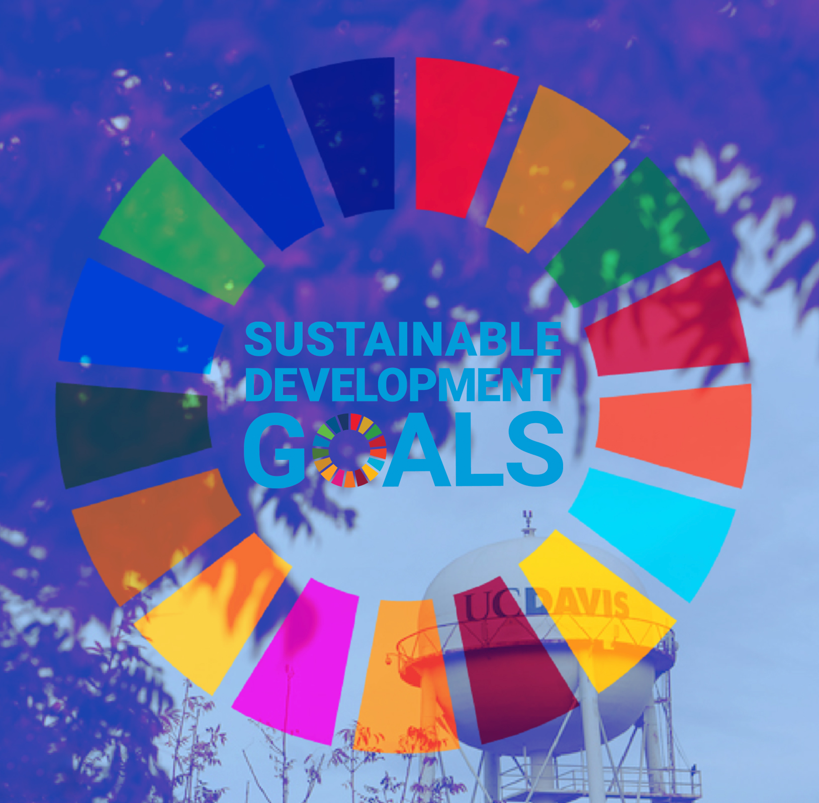 sios-blind-spot-using-sdgs-as-a-framework-for-internationalization-success